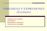 Variables y Expresiones Escalares