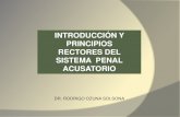 Principios Rectores Del Sistema Penal Acusatorio ( Jun 2015)