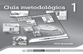 Ciencias_Guia Metodologica 1_Ciclo Avanzado