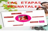ETAPAS PRENATALES