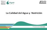 Taller 2.Calidad de Agua y Nutricisn. Final.pdf