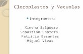 Grupo 6 Cloroplastos y Vacuolas Final Total