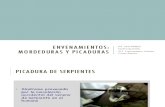 Toxicologia - Modeduras y Picaduras - San Pablo
