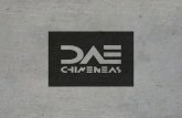 Catalogo DAE Chimeneas Digital