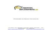 Modelo Psicosocial Copasosdecolombia