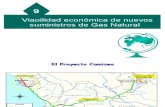 Cap 9 Viabilidad Economica Perú