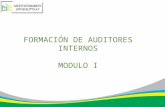 Auditor Interno Iso 9001-2008