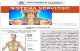 Sistema Nervioso.pptx