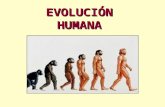evolucin-humana-1228211241607993-8 (1).ppt