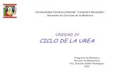 Unidad IV Ciclo de La Urea