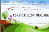 5 EIA en La Constitucion Peruana(1)