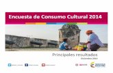 Consumo Cultural 2014