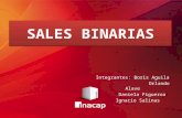 Sales Binarias2