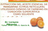 Extracciën Del Aceite Esencial de Mandarina Tesis 1