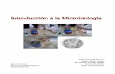 Introduccion Microbiologia 08-09 Completo