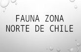 FAUNA ZONA NORTE DE CHILE.pptx
