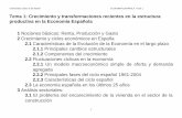 Crecimiento y Transformacion Reciente de Estructura Economia España