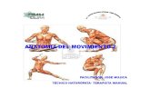 Anatomía Del Movimiento Corporal 2