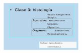 Clase 3 Histologia Para Morfologia