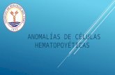 ANOMALIAS CELULAS HEMATOPOYETICAS