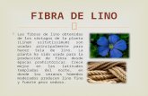Fibra de Lino