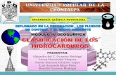 Geoquimica- Los Hidrocarburos