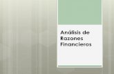04. Análisis de Razones Financieras.pdf