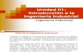 0 01 Introduccion Ingenieria Industrial