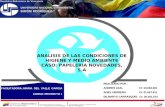 ANALISIS DE LAS CONDICIONES DE HIGIENE Y MEDIO AMBIENTE