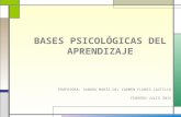 Encuadre Bases Psicológicas Del Aprendizaje 2015