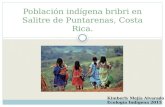 Población Indígena Bribri en Salitre