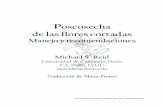 Proteas Postcosecha