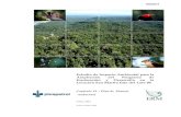 Capítulo VI - Plan de Manejo Ambiental.pdf