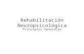 Clase S. XXI Rehabilitacion Neuropsicologica