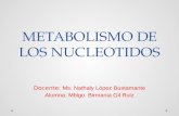 Expocicion Nucleotidos