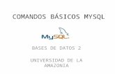 comandos basicos mysql