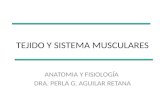 Tejido y Sistema Musculares