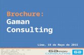 Gaman Consulting - Brochure Resumen Mayo 2015