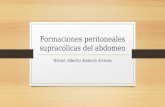Formaciones Peritoneales Supracólicas Del Abdomen