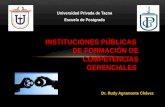 Instituciones Publicas Formacion Competencias.pptx
