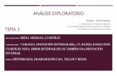 Análisis exploratorio(1).pdf