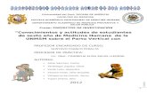 PARTO VERTICAL Archimejorado 17-11-12