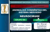 Malformaciones Congénitas Del Sistema Nervioso - Grupo b6 (1)
