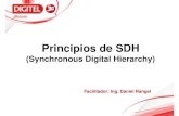 Curso Principios de SDH