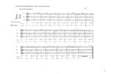 Canciones Flauta y Láminas, Secundaria