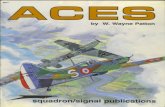 Aces (Squadron Signal)