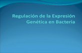 Regulacion de La Expresion Genetica en Bacteria