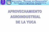 2 Aprovechamiento Agroindustrial de La Yuca