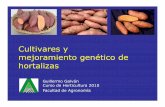Cultivares y Mejoramiento Genetico - Guillermo