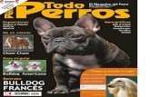 Revista TODO PERROS Diciembre 2010 Enero 2011
